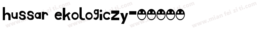 hussar ekologiczy字体转换